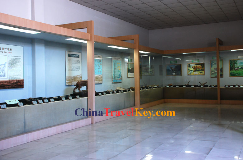 Beijing Man Site