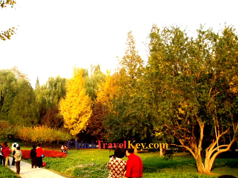 Fragrant Hill