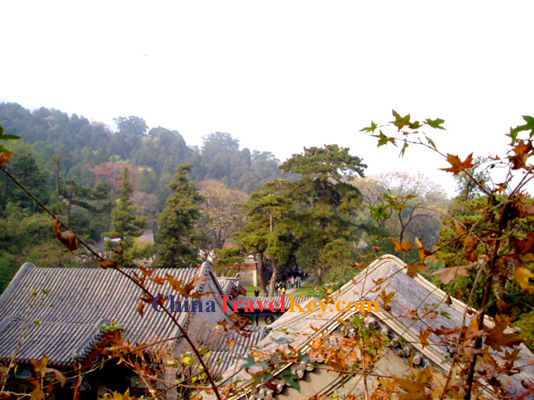 Fragrant Hill