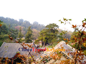Fragrant Hill