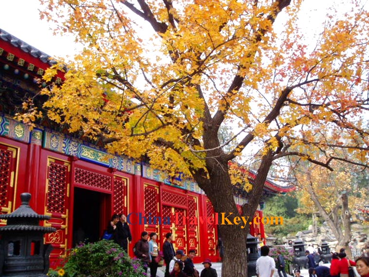 Fragrant Hill
