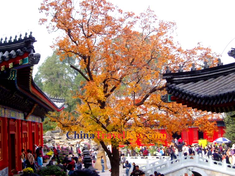 Fragrant Hill