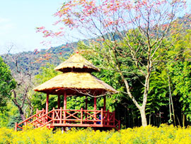 Shimen National Forest Park