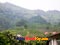 photo of hangzhou tea garden