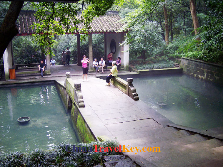 photo of hangzhou tiger running spring