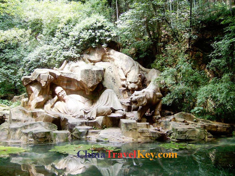 photo of hangzhou tiger running spring