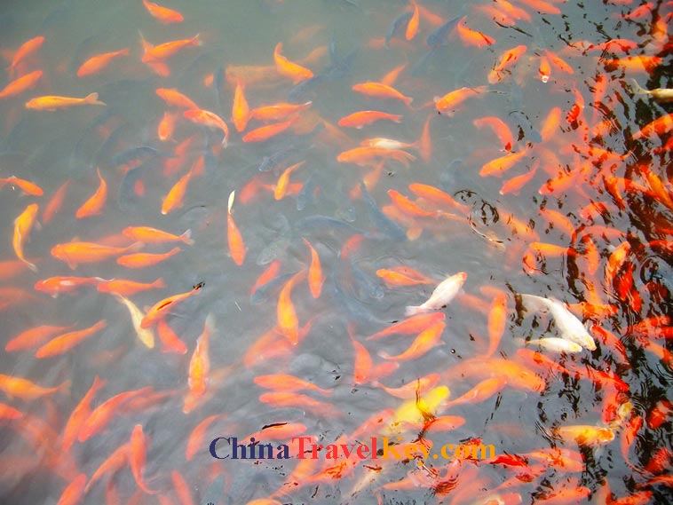 photo of hangzhou west lake