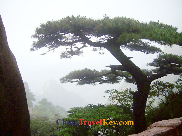 photo of mt.huangshan