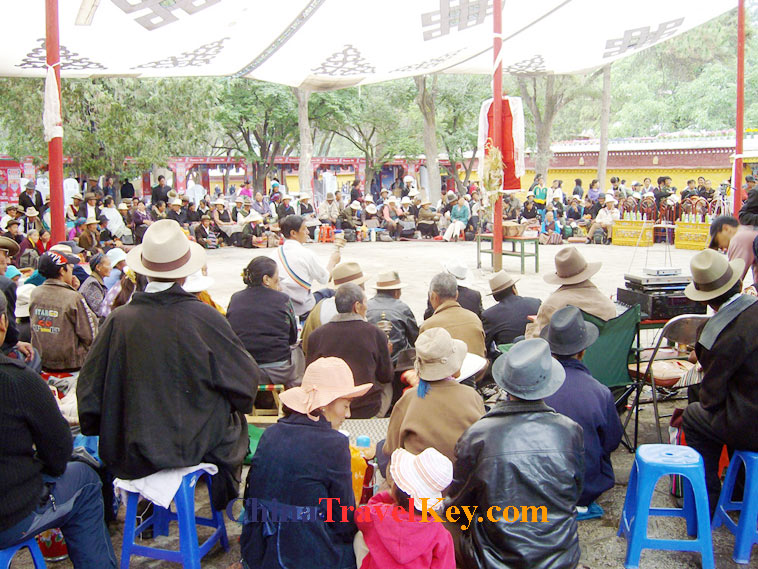 photo of lhasa norbulingka park