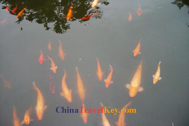 photo of suzhou yi garden