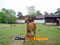 photo of chengde mountain resort