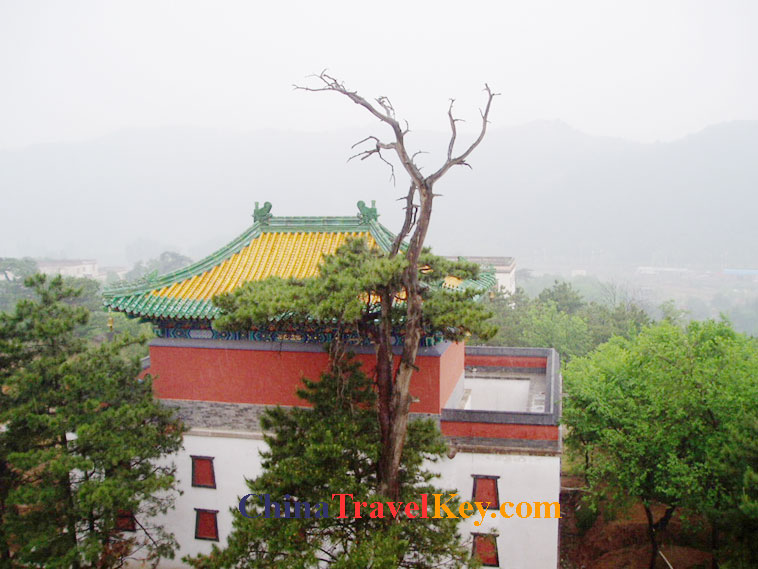photo of temple of potaraka doctrine