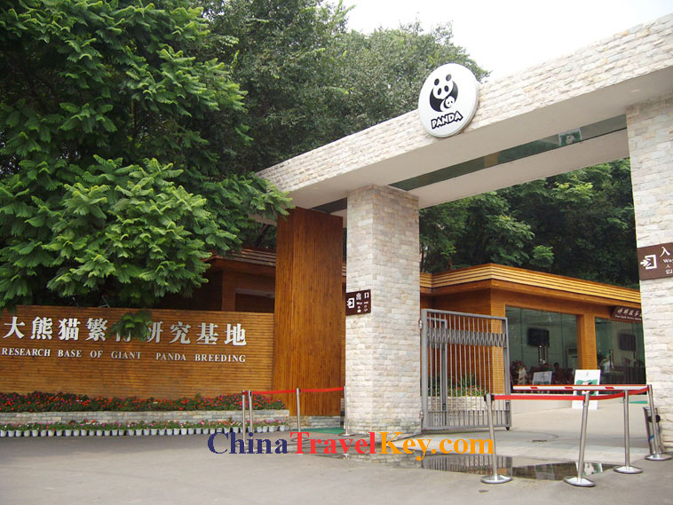 photo of chengdu panda temple