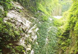 Jindao Gorge Scenic Spot