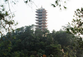 Mt.Jinyun