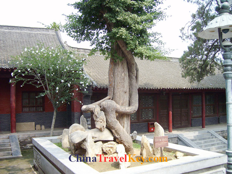 photo of dengfeng shaolin temple
