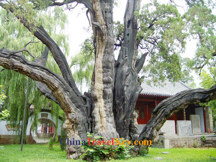 photo of dengfeng songshan college