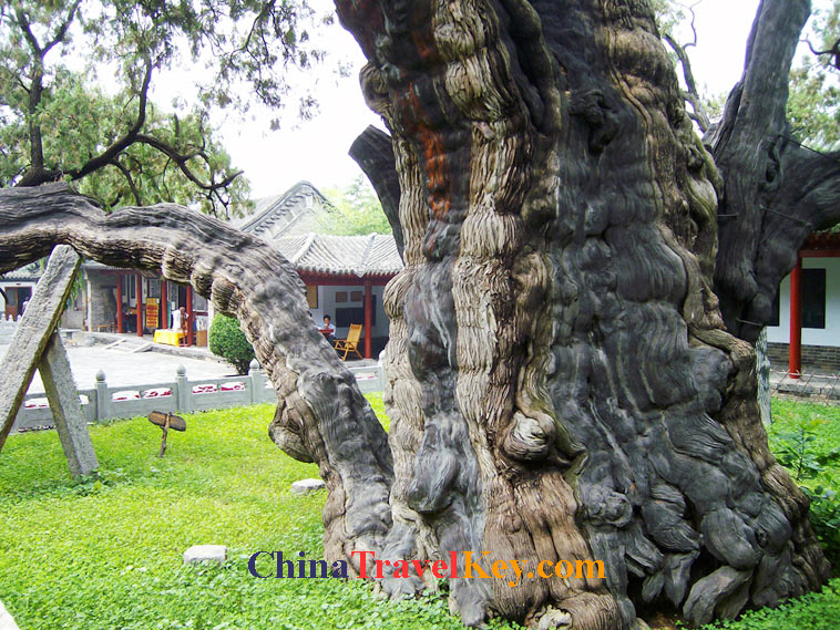 photo of dengfeng songshan college