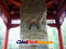 photo of dengfeng songshan college