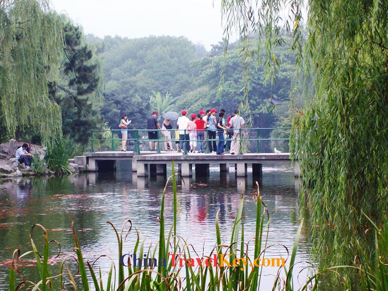 Visit West Lake of Hangzhou