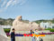 photo of lanzhou huanghe river