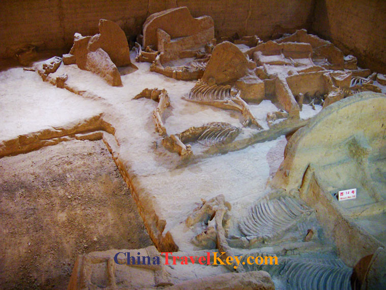 photo of luoyang royal horse and chariot pits