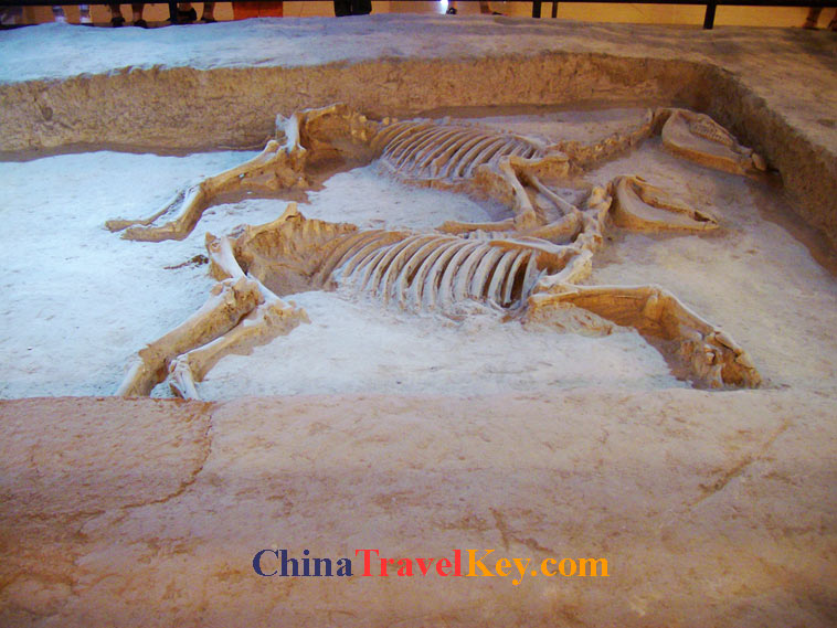 photo of luoyang royal horse and chariot pits