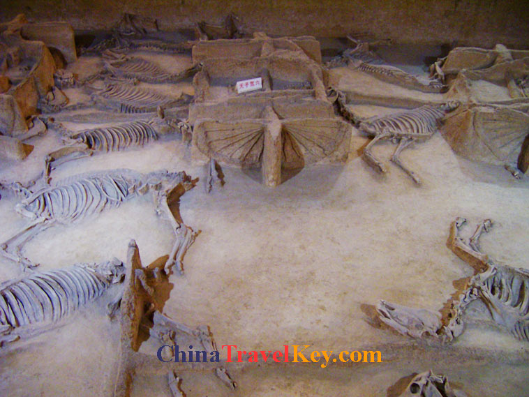 photo of luoyang royal horse and chariot pits