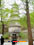photo of huayan temple qingdao