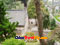 photo of qingdao taiqing palace