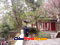 photo of qingdao taiqing palace
