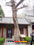 photo of qingdao taiqing palace