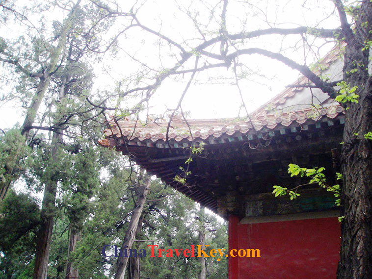 photo of qufu confucius temple