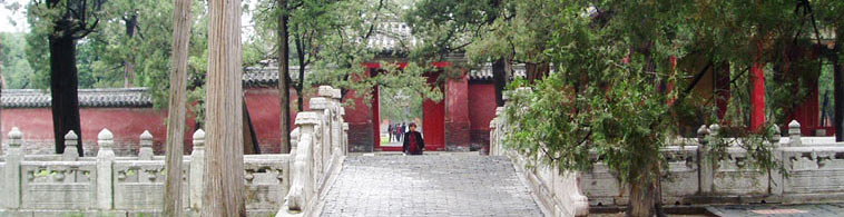 photo of qufu tour