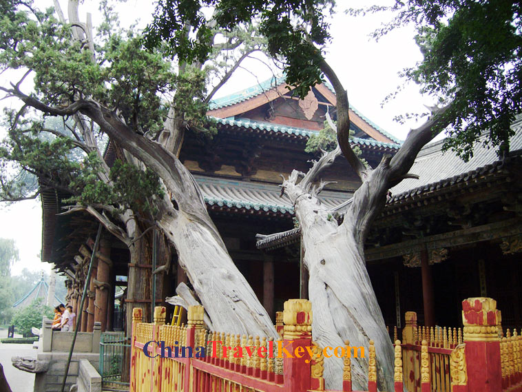 photo of jinci temple