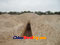 photo of astana-ancient-tombs