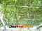 photo of grape-turpan