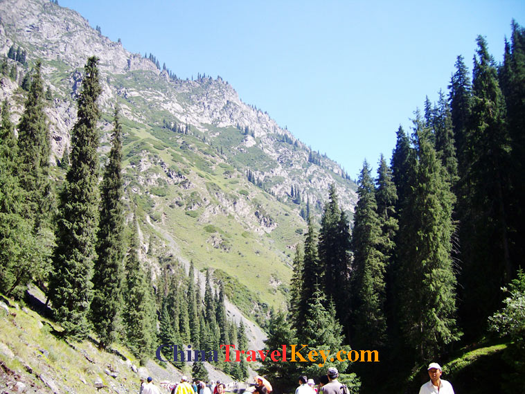 photo of urumchi south pasture