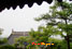photo of wuxi xihui park