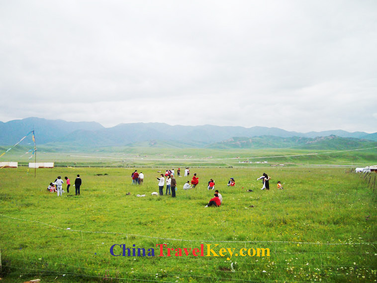 photo of xiahe sangke grassland