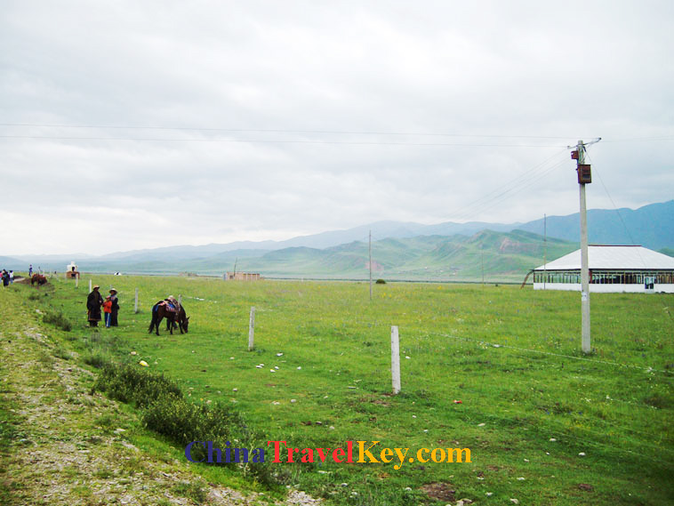 photo of xiahe sangke grassland