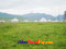 photo of xiahe sangke grassland